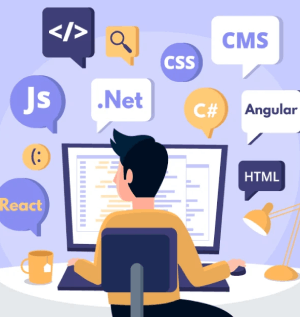 Web Development Training in dubai