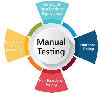 Software Testing (Manual) Training in fujairah